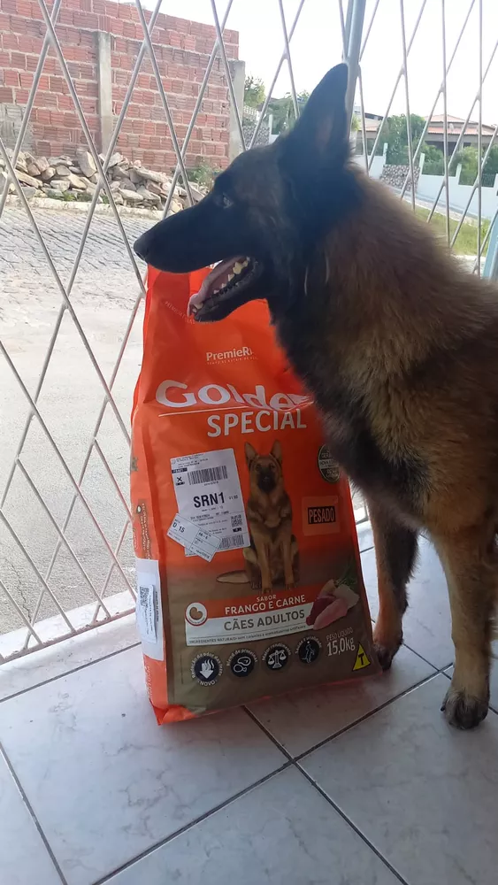 Ração Golden Special Cães Adultos Sabor Frango E Carne 15kg - Imagem 3